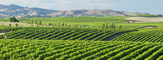 California Farmer Reports 30% Savings in Water Use