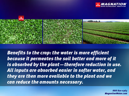 Seed Maximizer