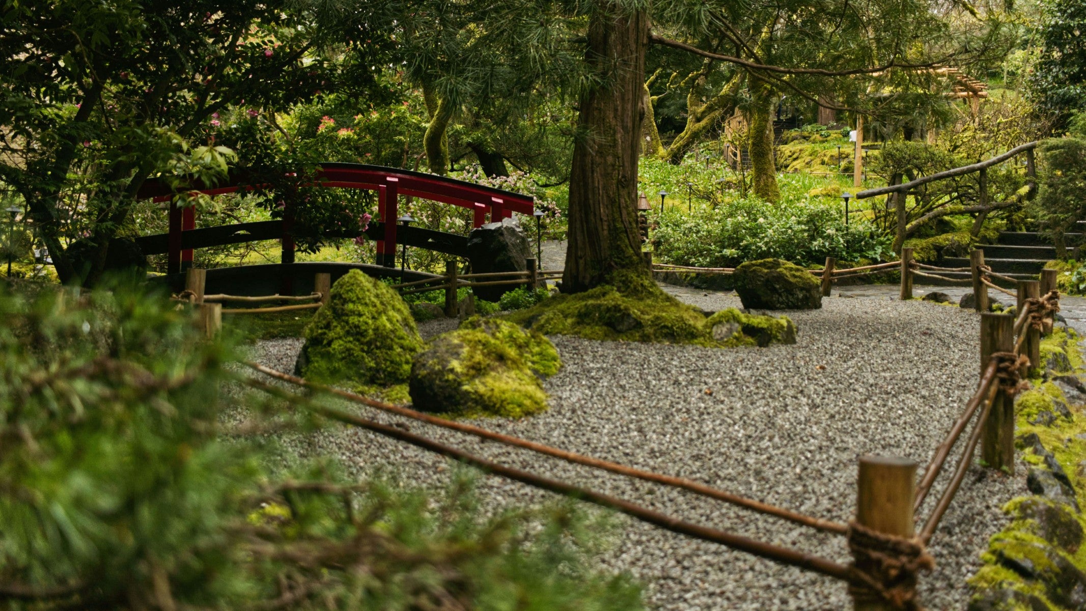 Japanese garden with gravel path, stone lanterns, and red bridge.